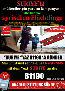 Bild 1 von 1 thumb